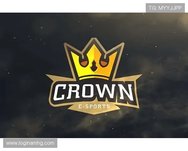 皇冠综合体育平台登陆账号安全指南，保障个人信息与资金安全措施