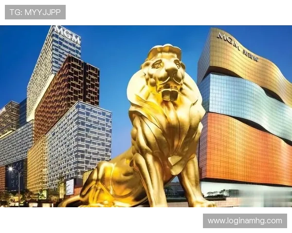 澳门美高梅赌场安全保障措施全面解析，保障每一位嘉宾的安全与隐私权益